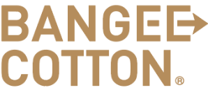 バンジーコットン